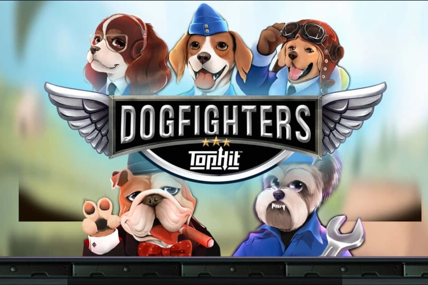 Dog Fighters
