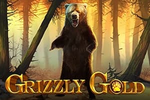 Grizzly Gold - Free Blueprint Gaming Slot