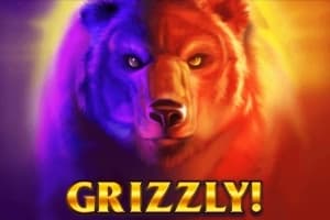 Grizzly - Free Inspired Gaming Slot