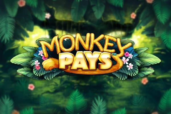 Monkey Pays - Free Skywind Slot