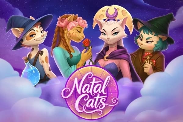 Natal Cats