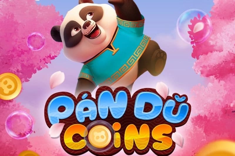 Pan Du Coins