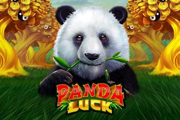 Panda Luck - Free BGaming Slot