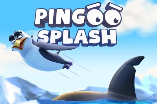 Pingoo Splash