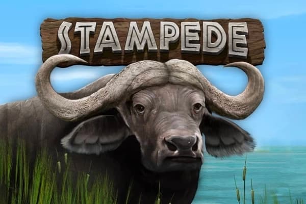 Stampede - Free Betsoft Slot